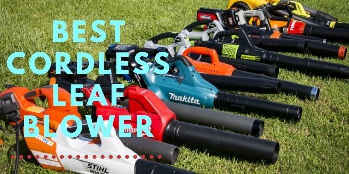 Best Cordless Leaf Blower in the UK