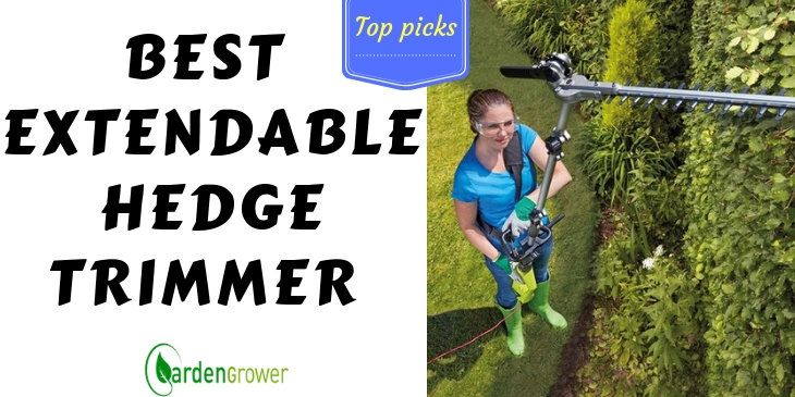 best electric hedge trimmer with extension pole