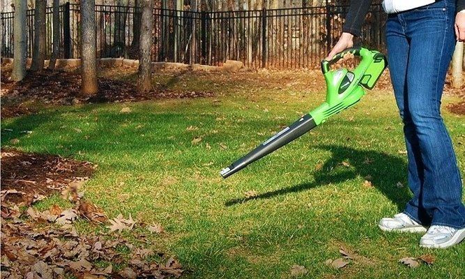 Best Garden Vacuum Reviews