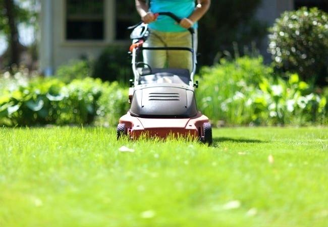 Best Mulching Mower 2020 UK (Reviews)