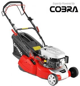 best petrol lawn mower with rear roller