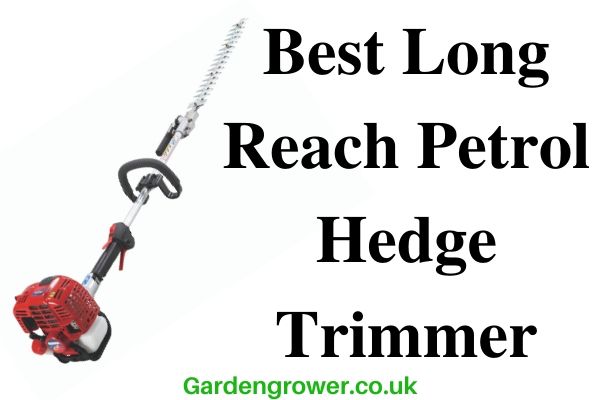 best petrol hedge trimmer