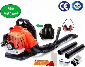 10. 65cc Petrol Backpack Leaf Blower