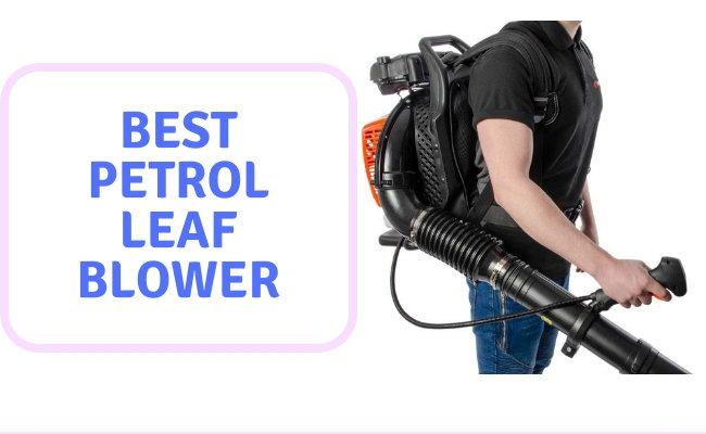 Best Petrol Leaf Blower UK