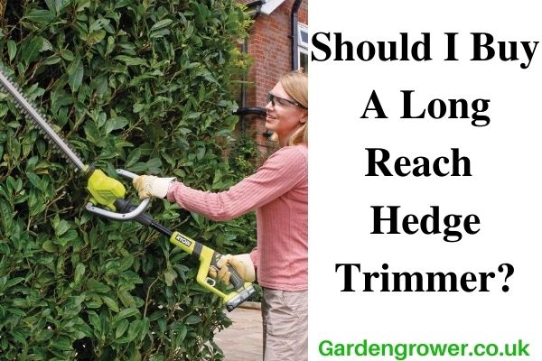 Best Long Reach Hedge Trimmer