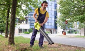 Cordless Leaf Blowers