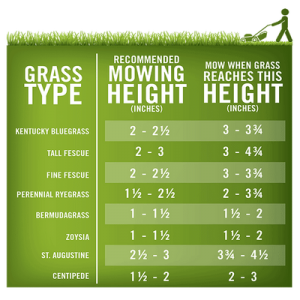 Cutting Height Adjustments