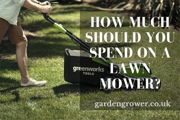 How Much Should You Spend On A Lawn Mower