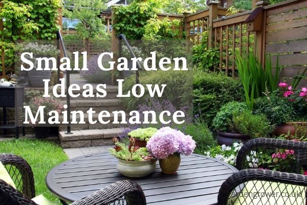 Small Garden Ideas Low Maintenance