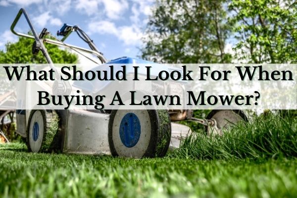 What Should I Look For When Buying A Lawn Mower_