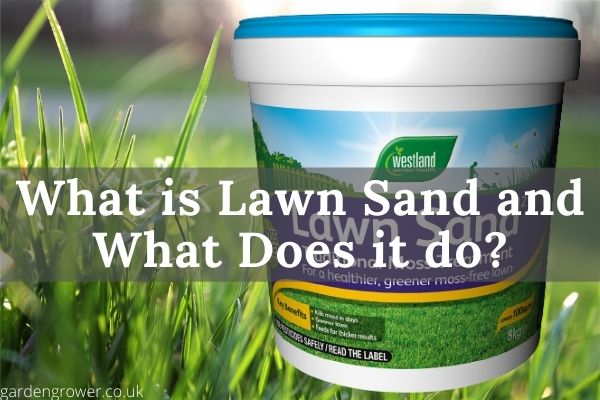 What is Lawn Sand and What Does it do_