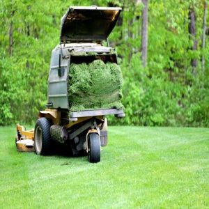 mulch of grass