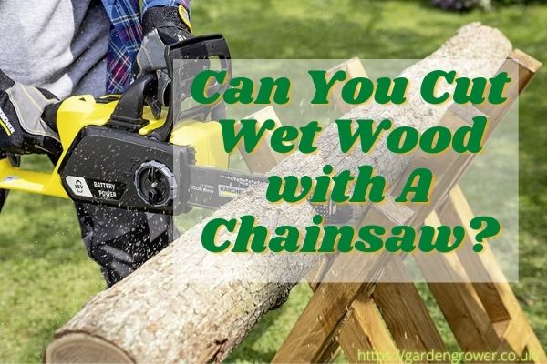 Can You Cut Wet Wood with A Chainsaw