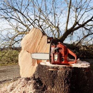 Electric Chainsaw and Why it is Worth the Money