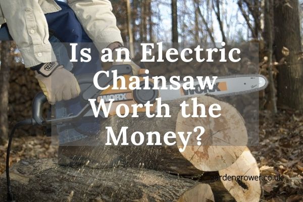 Is an Electric chainsaw Worth the Money